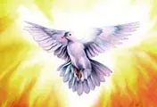 god